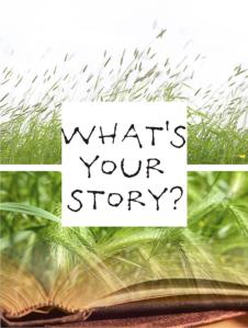whats-your-story2