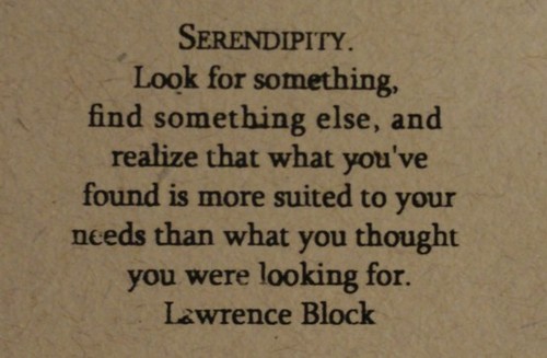 serendipity
